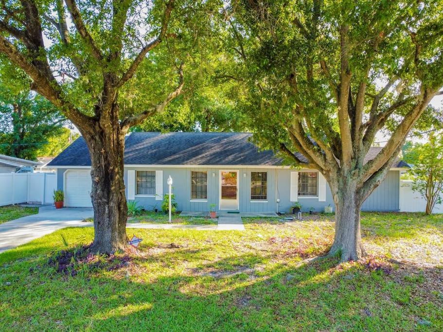 Town 'N' Country Cozy Corner, Your Florida Fun Hub Villa Tampa Buitenkant foto